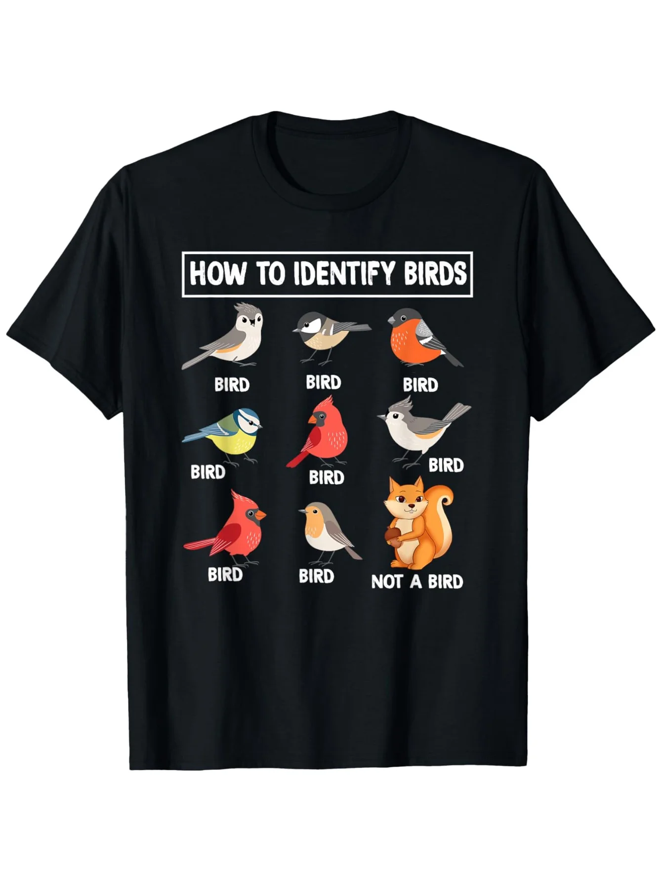 2026: So erkennen Sie Vögel, N – Summer Clothing Pictures Bewertung und Preis